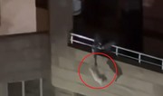 Baku police take action against man caught on camera abusing cat