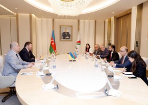 Azerbaijan, Ukraine explore energy cooperation opportunities