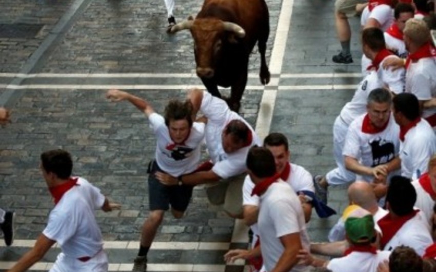 ​В ходе традиционного бега быков в Испании пострадали 14 человек