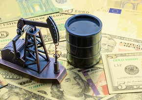 Oil prices rise moderately