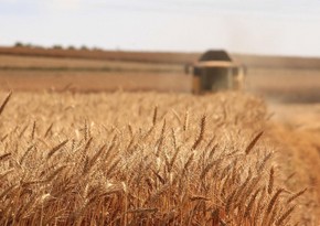 Azerbaijan imports 1.4 million tonnes of grain from Russia 