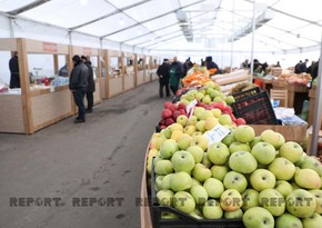 В Нахчыване будет организована праздничная ярмарка по случаю Новруз байрамы