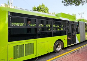 Green City transport corridor may appear in Tashkent