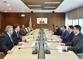 Azerbaijan, ACWA Power might collaborate in seawater desalination