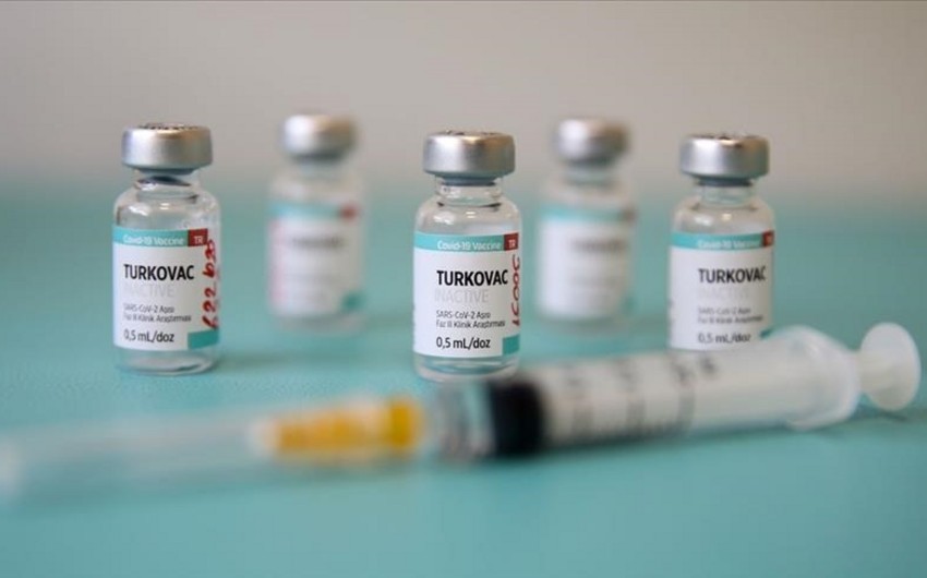 Вакцину TURKOVAC начнут применять во всех госбольницах Турции