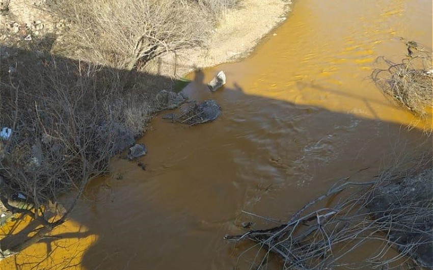 MP: COP29 should draw attention to poisoning of rivers coming from Armenia to Azerbaijan