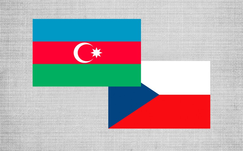 Чехия объявила о направлениях сотрудничества с Азербайджаном в энергетической сфере
