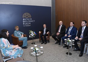 Глава МИД Азербайджана встретился с генсекретарем ОБСЕ