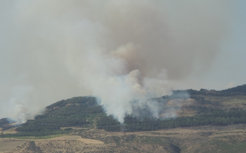 К тушению пожара в Азербайджане привлечены вертолеты - ОБНОВЛЕНО