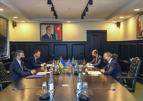 Предлагается создать азербайджано-украинский деловой совет