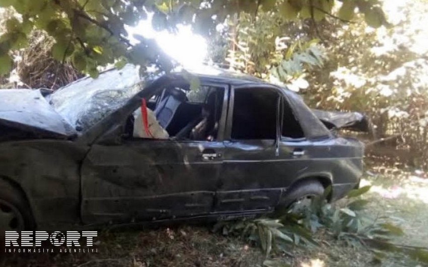 В Огузе автомобиль врезался в дерево, пострадали три человека