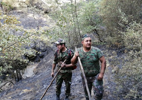 Силы МЧС Азербайджана потушили пожар в зеленой зоне турецкого города Айдын
