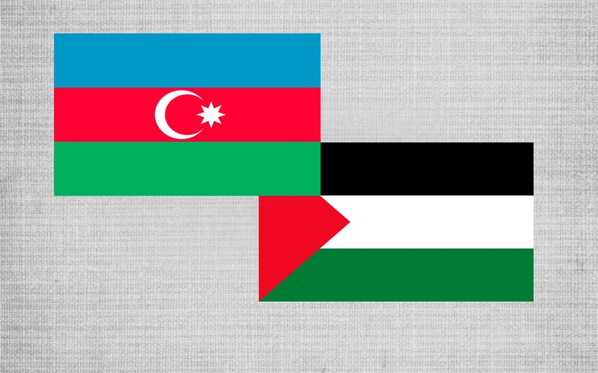 FM: Azerbaijan has always supported Palestine in its struggle for freedom and independence