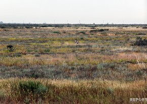 Üfüqlə yarımsəhranı birləşdirən Milli Park - REPORTAJ