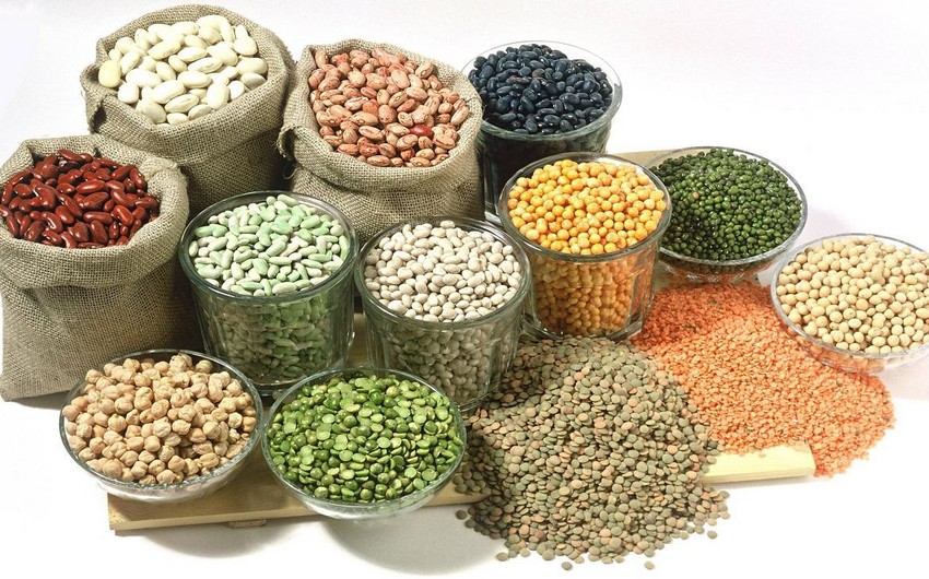 В Азербайджане выводятся новые сорта зерновых и бобовых