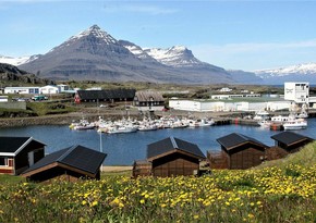 В Исландии выделено €20 тысяч на памятник первому чернокожему поселенцу