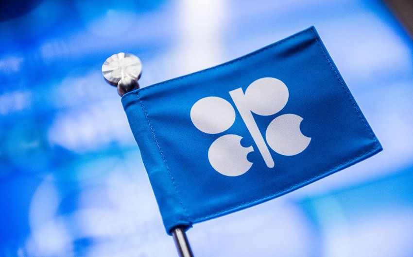 OPEC + recommends keeping growth plan for oil production