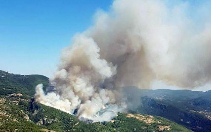 В Турции произошел лесной пожар, сгорели около 40 домов, есть пострадавшие - ФОТО