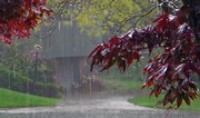 Rain, thunderstorms expected in Azerbaijani districts on September 15