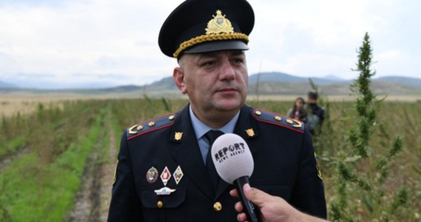 Azerbaijan’s Interior: Over 100 hectares of drug plantations discovered in Karabakh