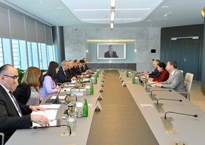 Azerbaijan explores various directions of joint activity with IMF