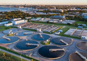 В Эстонии выявили рост концентрации коронавируса в сточных водах