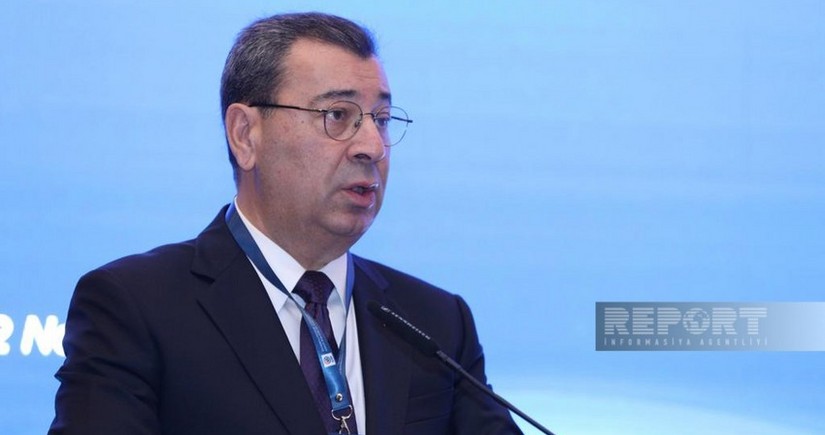 Самед Сеидов: Высказывания Швабе свидетельствуют об азербайджанофобии