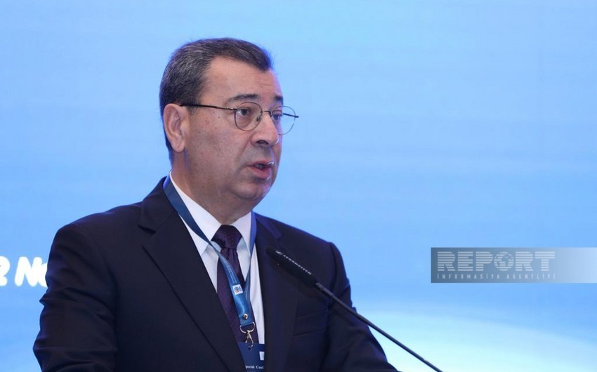Samad Seyidov: ‘Schwabe's views are a manifestation of Azerbaijan-phobic rhetoric’ - UPDATE