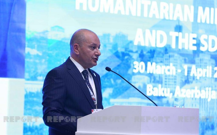 ANAMA chief: International conference on demining in Baku fruitful