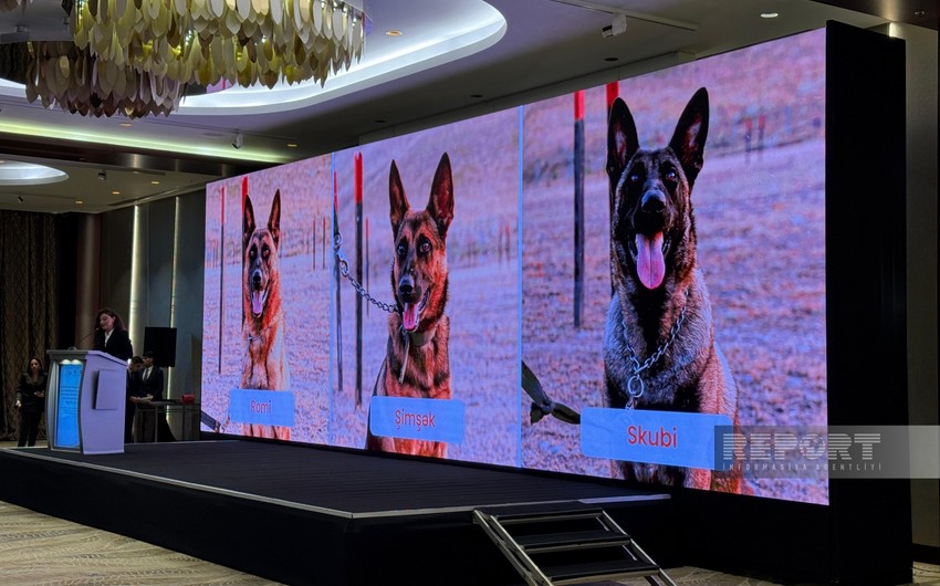 3 mine detection dogs presented to Azerbaijan National Agency for Mine Action