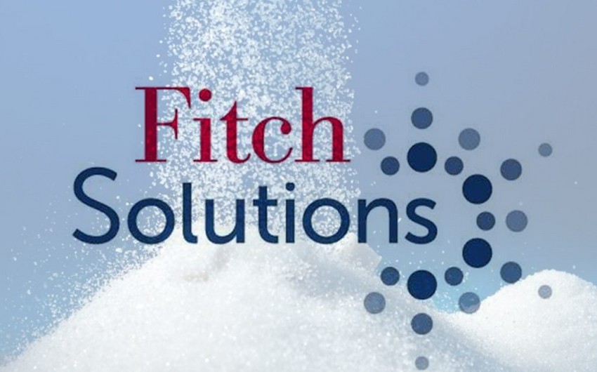 “Fitch Solutions” bu il Azərbaycana investisiya qoyuluşunun əsas mənbələrini açıqlayıb