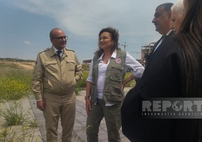 Roots of Peace wants cooperation with ANAMA to assist demining in Karabakh