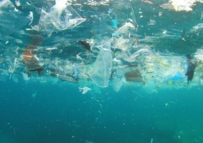 Okeanda plastik tullantıların miqdarının 10 dəfə çox olduğu müəyyənləşib