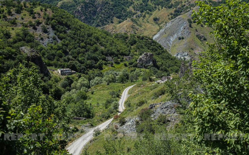 Azerbaijan develops program on forest restoration in liberated areas