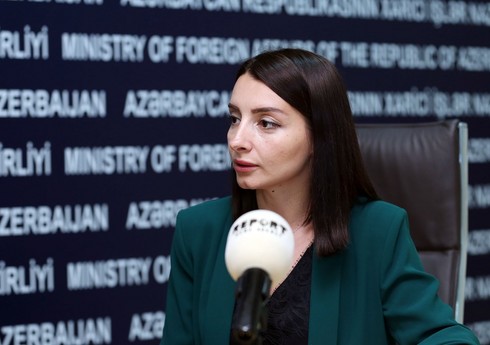 Лейла Абдуллаева: Армения наглядно продемонстрировала свой злой умысел  
