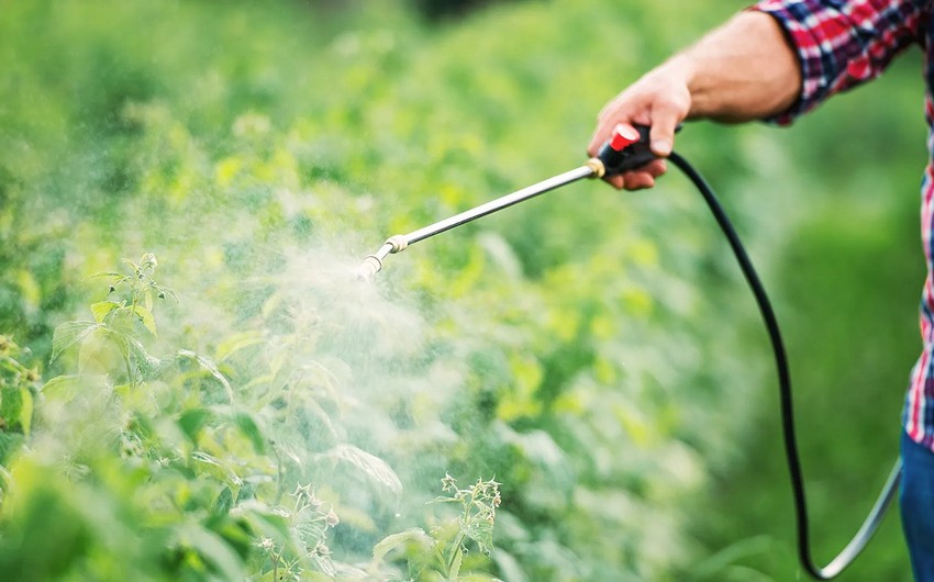 Azerbaijan resumes pesticide imports from two countries