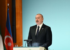 President Ilham Aliyev: 'COP29 will allow us to engage countries of the Global South'