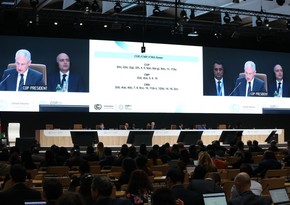 На COP29 утвердили выделение 300 млрд долларов ежегодного климатического финансирования