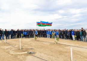 В честь 100-летия со дня рождения Гейдара Алиева проведена акция по посадке деревьев